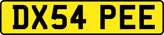 DX54PEE