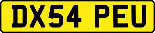 DX54PEU