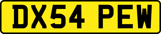 DX54PEW
