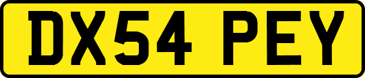DX54PEY