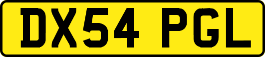 DX54PGL
