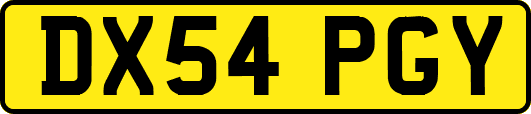 DX54PGY