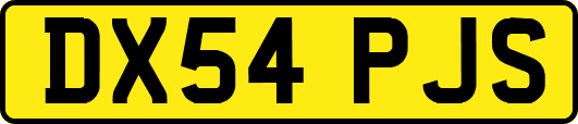 DX54PJS