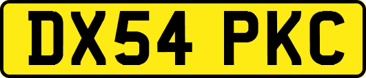 DX54PKC