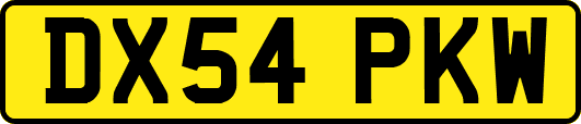 DX54PKW