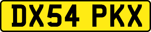 DX54PKX