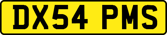 DX54PMS