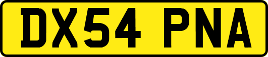 DX54PNA