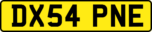 DX54PNE
