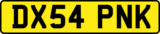 DX54PNK
