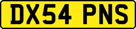 DX54PNS