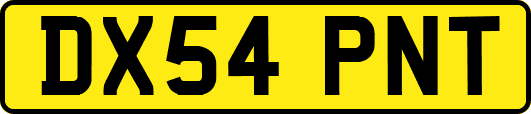 DX54PNT