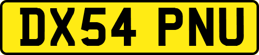 DX54PNU