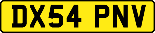 DX54PNV