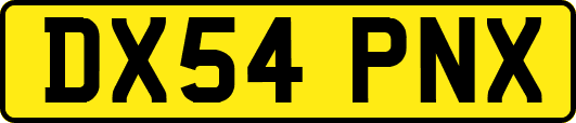 DX54PNX