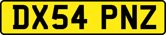 DX54PNZ