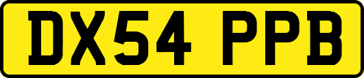 DX54PPB