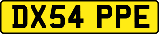 DX54PPE