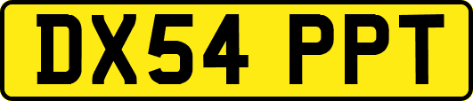 DX54PPT