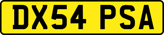 DX54PSA