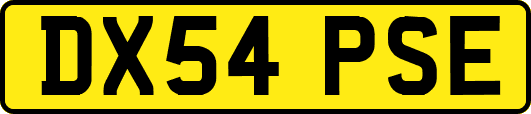 DX54PSE