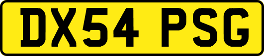 DX54PSG