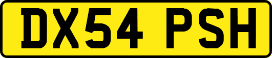 DX54PSH