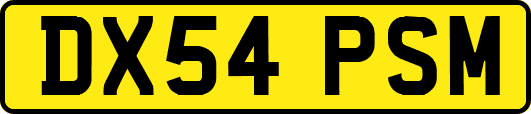 DX54PSM