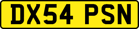 DX54PSN