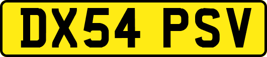 DX54PSV