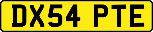 DX54PTE