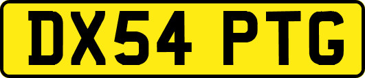 DX54PTG
