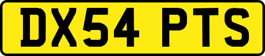 DX54PTS