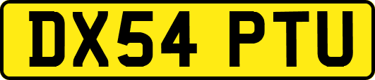 DX54PTU