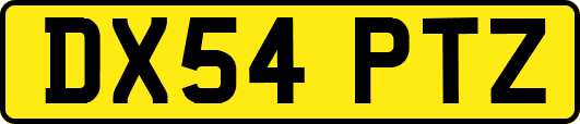 DX54PTZ
