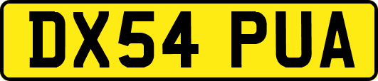 DX54PUA