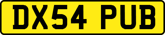 DX54PUB