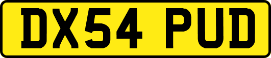 DX54PUD