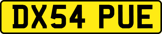 DX54PUE