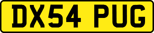 DX54PUG