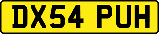DX54PUH