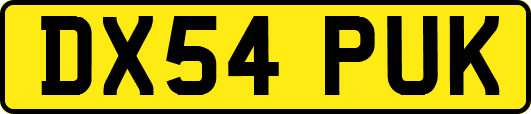 DX54PUK