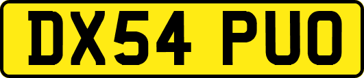 DX54PUO