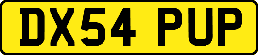 DX54PUP
