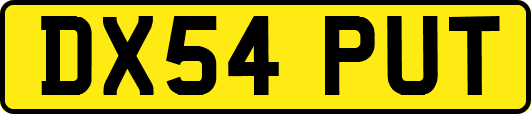 DX54PUT