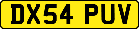 DX54PUV