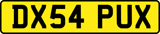 DX54PUX