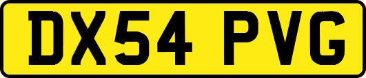 DX54PVG