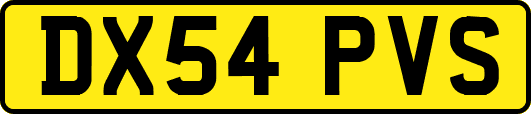 DX54PVS
