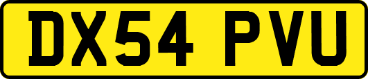 DX54PVU